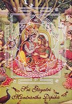 The Authorized Sri Caitanya Saraswata Parampara book cover